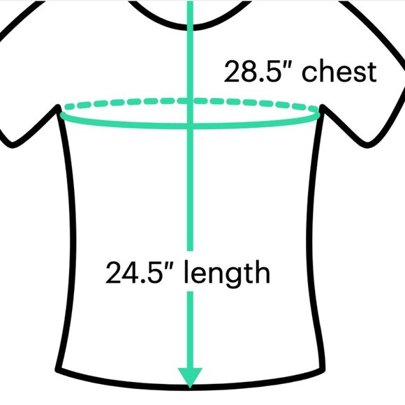 Dantelle Silver Grey Metallic Shimmery Light Shirt Short Sleeve Scoop Neck Small - Picture 5 of 5